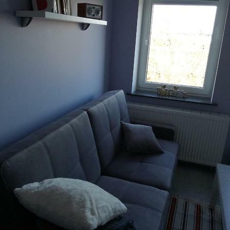 Business Apartments 28 Bydgoszcz Kültér fotó